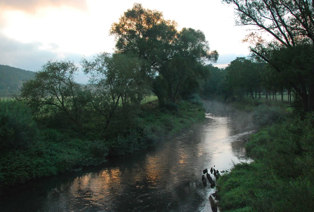 Morgennebel2jpg