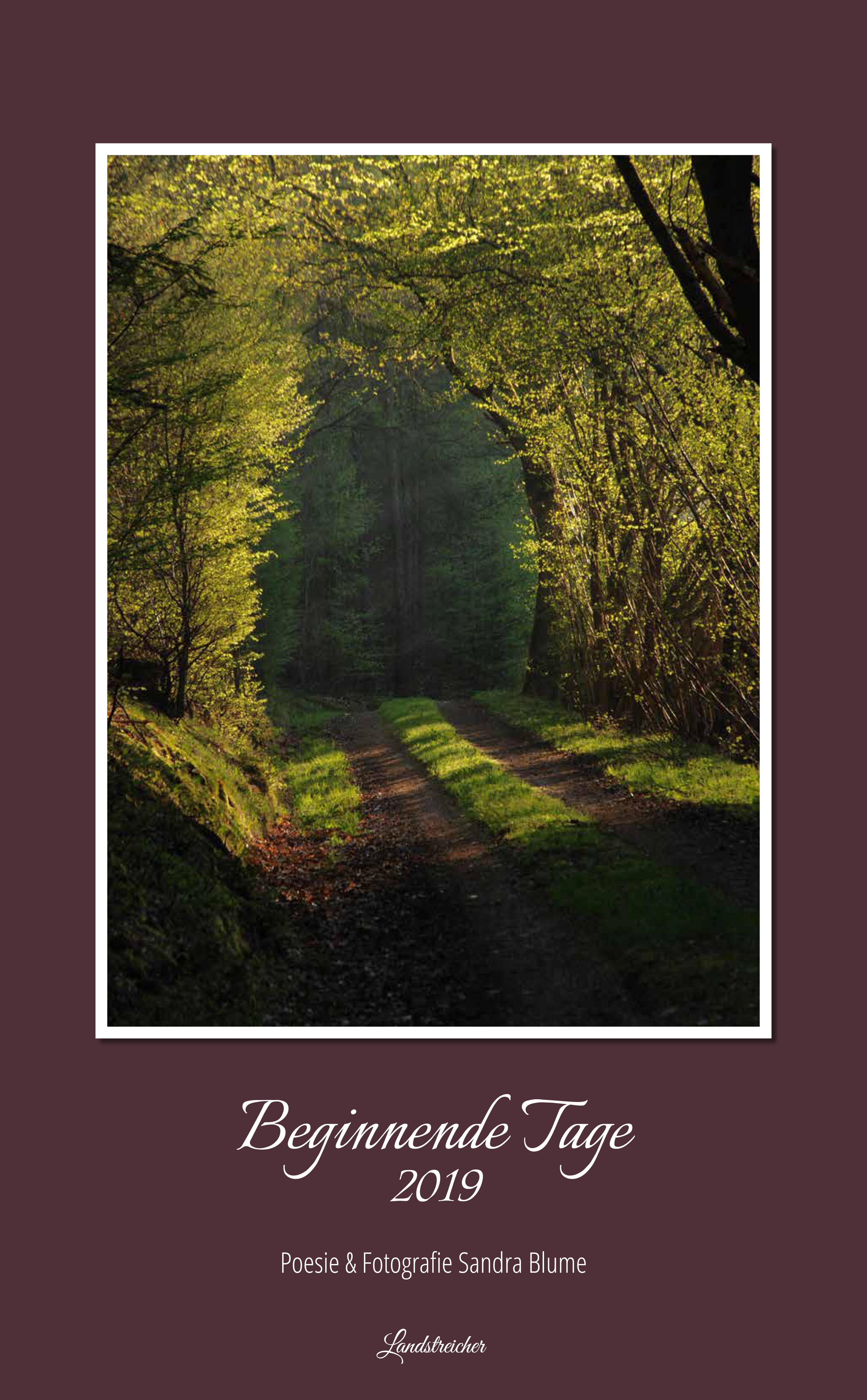 Kalender_2019-Stand-8-August-2018-1